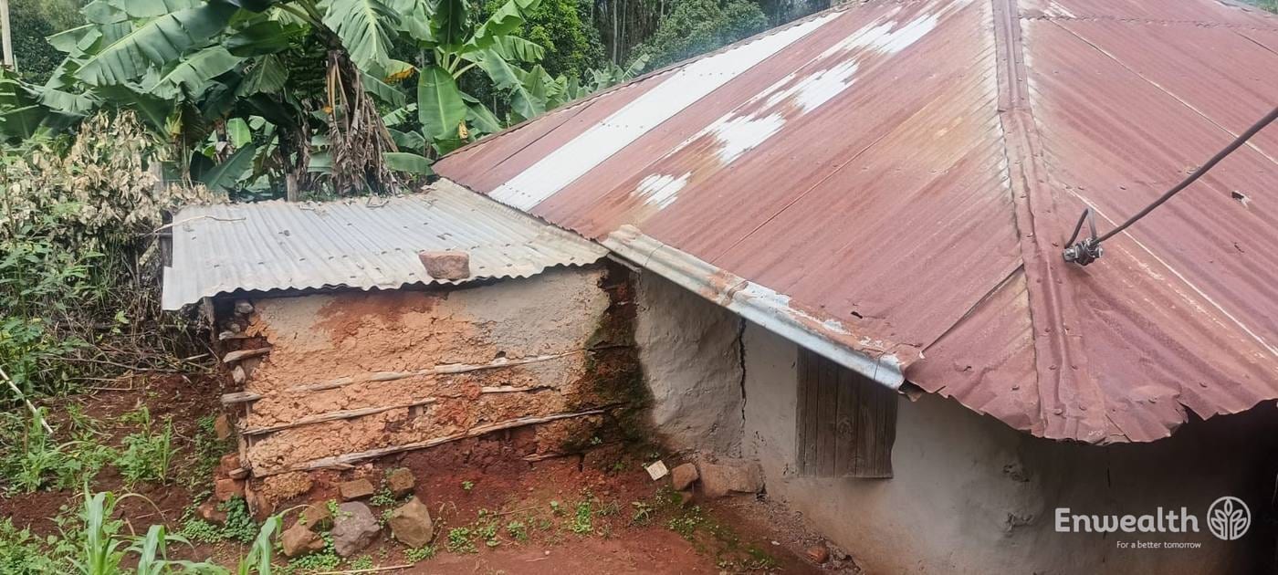 A mud-walled house with a rusted iron roof, its walls broken away at one corner.