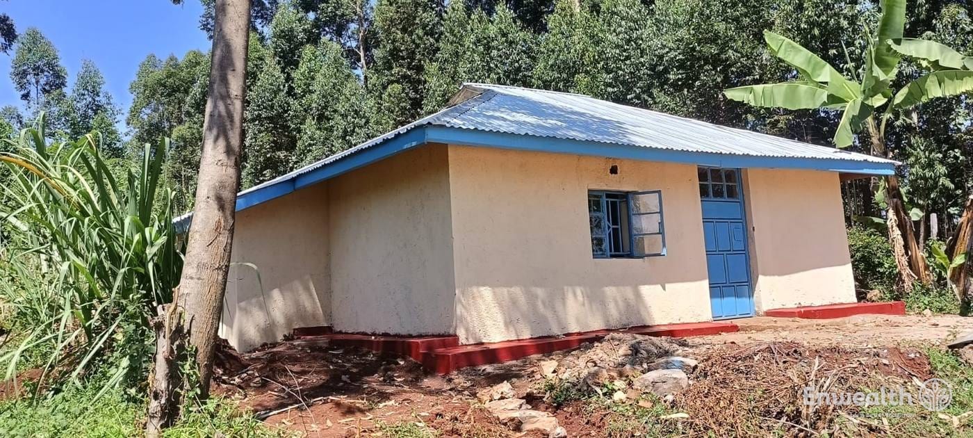 The finished house: cream plastered walls, a blue roof and door, and a painted plinth.